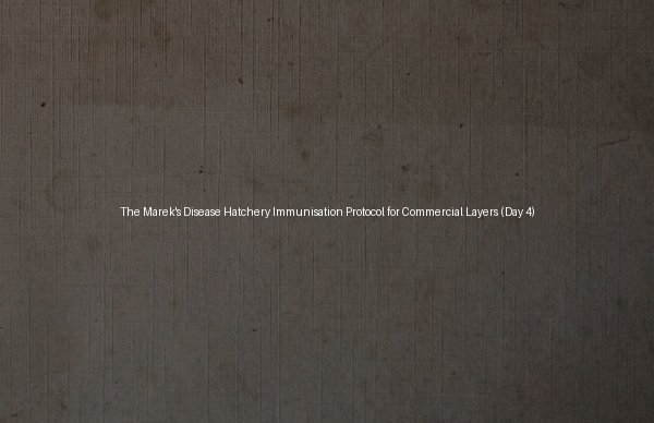 The Marek's Disease Hatchery Immunisation Protocol for Commercial Layers (Day 4)