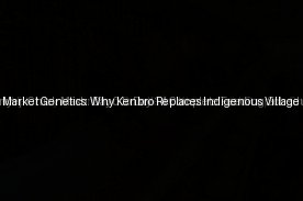 Managing Live Market Genetics: Why Kenbro Replaces Indigenous Village Breeds (Day 11)