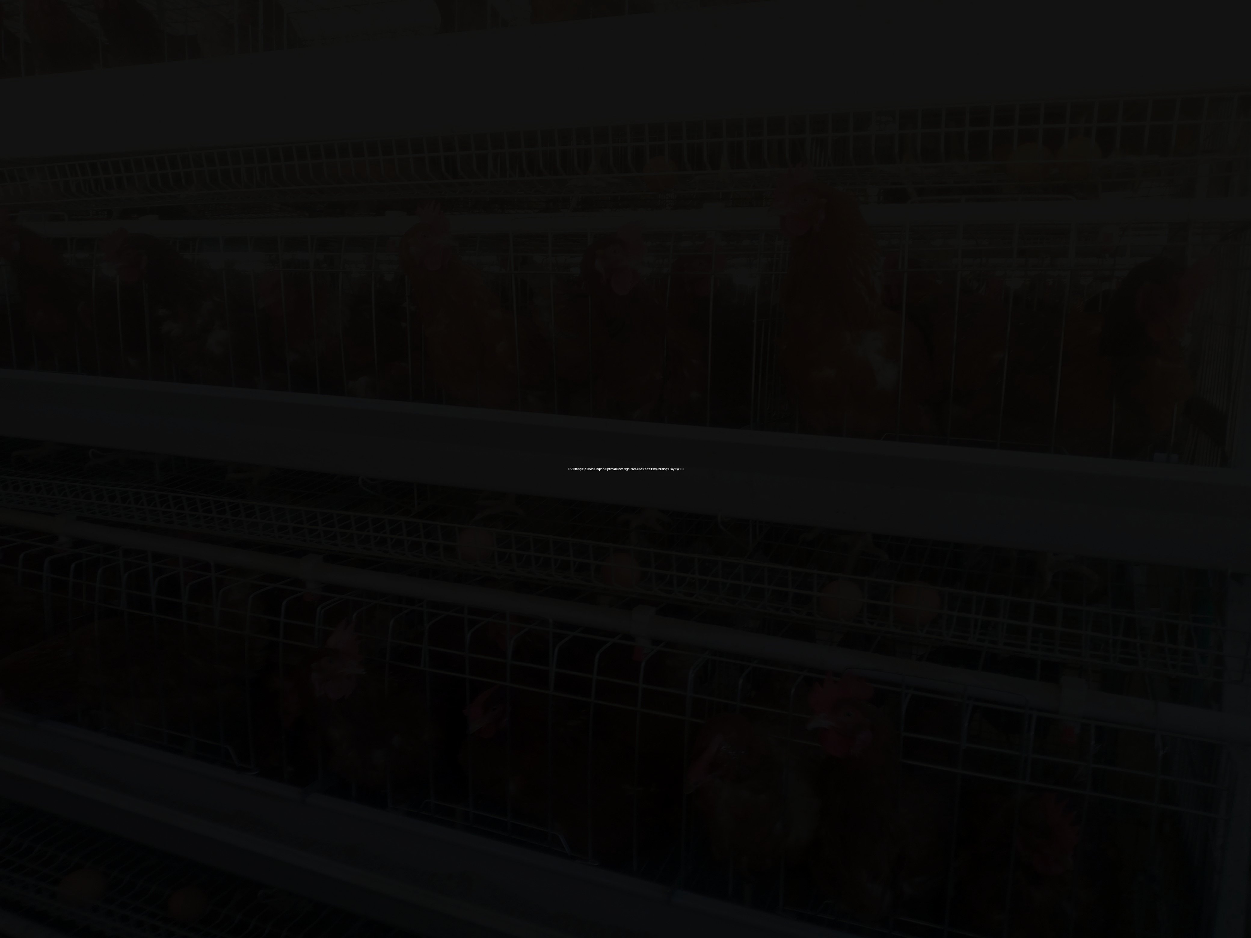Setting Up Chick Paper: Optimal Coverage Area and Feed Distribution (Day 14)