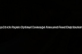 Setting Up Chick Paper: Optimal Coverage Area and Feed Distribution (Day 11)