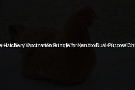 The Day-One Hatchery Vaccination Bundle for Kenbro Dual-Purpose Chicks (Day 13)