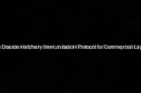 The Marek's Disease Hatchery Immunisation Protocol for Commercial Layers (Day 15)