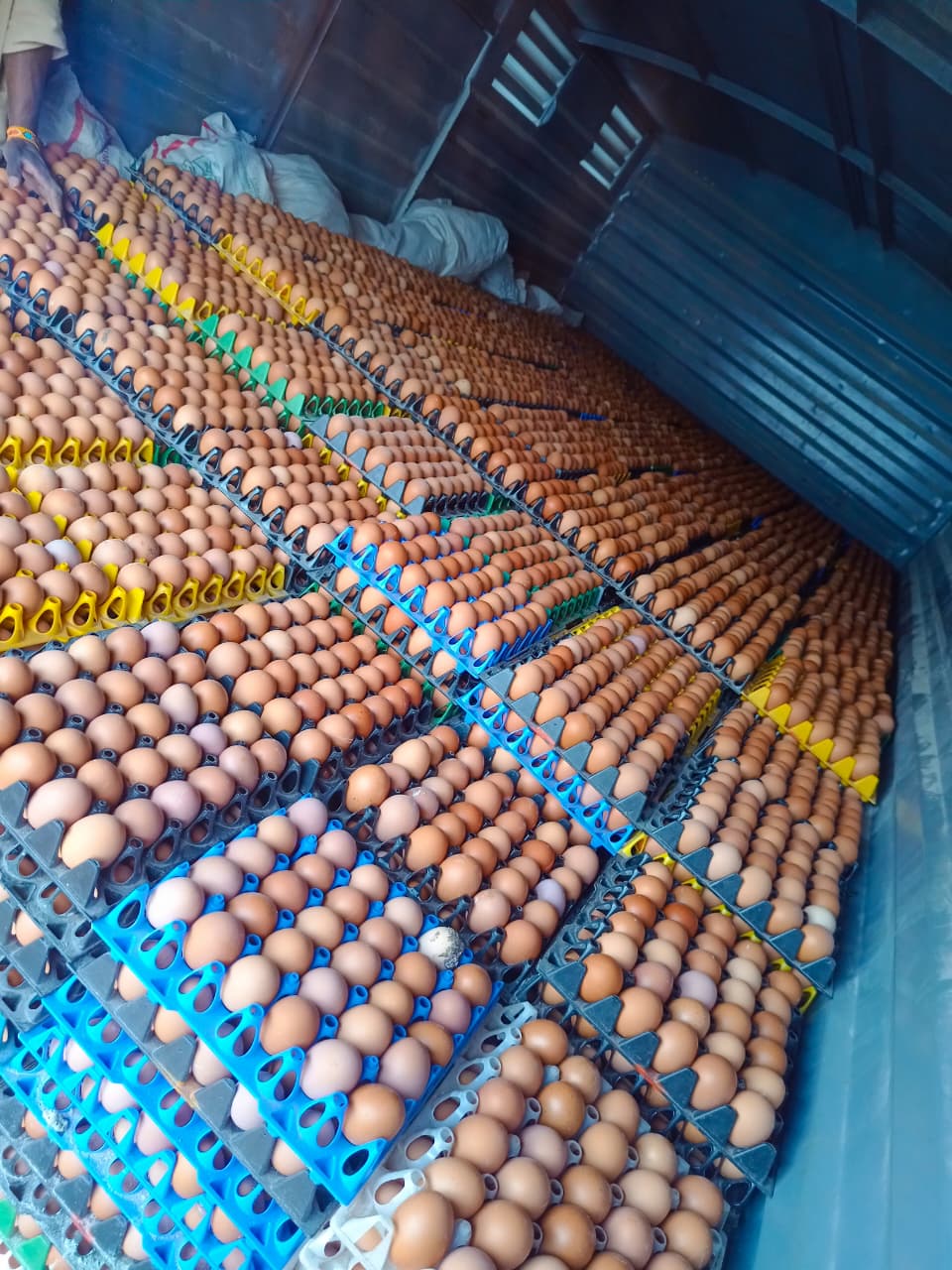 Close up of brown eggs