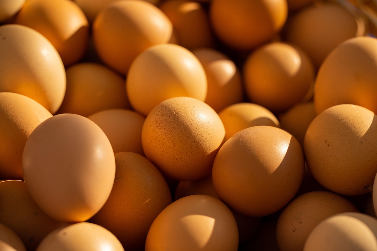 Premium Farm Eggs