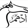 أدهم قهوة مختصة