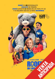 ROOFMAN. UN LADRÓN EN EL TEJADO