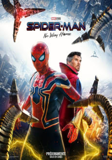 SPIDER-MAN NO WAY HOME