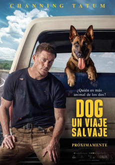 DOG UN VIAJE SALVAJE