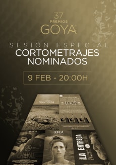 CORTOMETRAJES NOMINADOS PREMIOS GOYA
