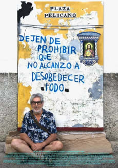 DEJEN DE PROHIBIR QUE NO ALCANZO A DESOBEDECER TODO