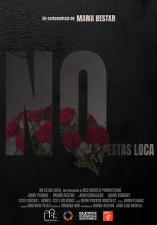 NO ESTAS LOCA. LA VERDAD SOBRE LA VIOLENCIA VICARIA.