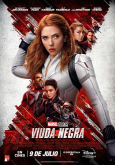 VIUDA NEGRA