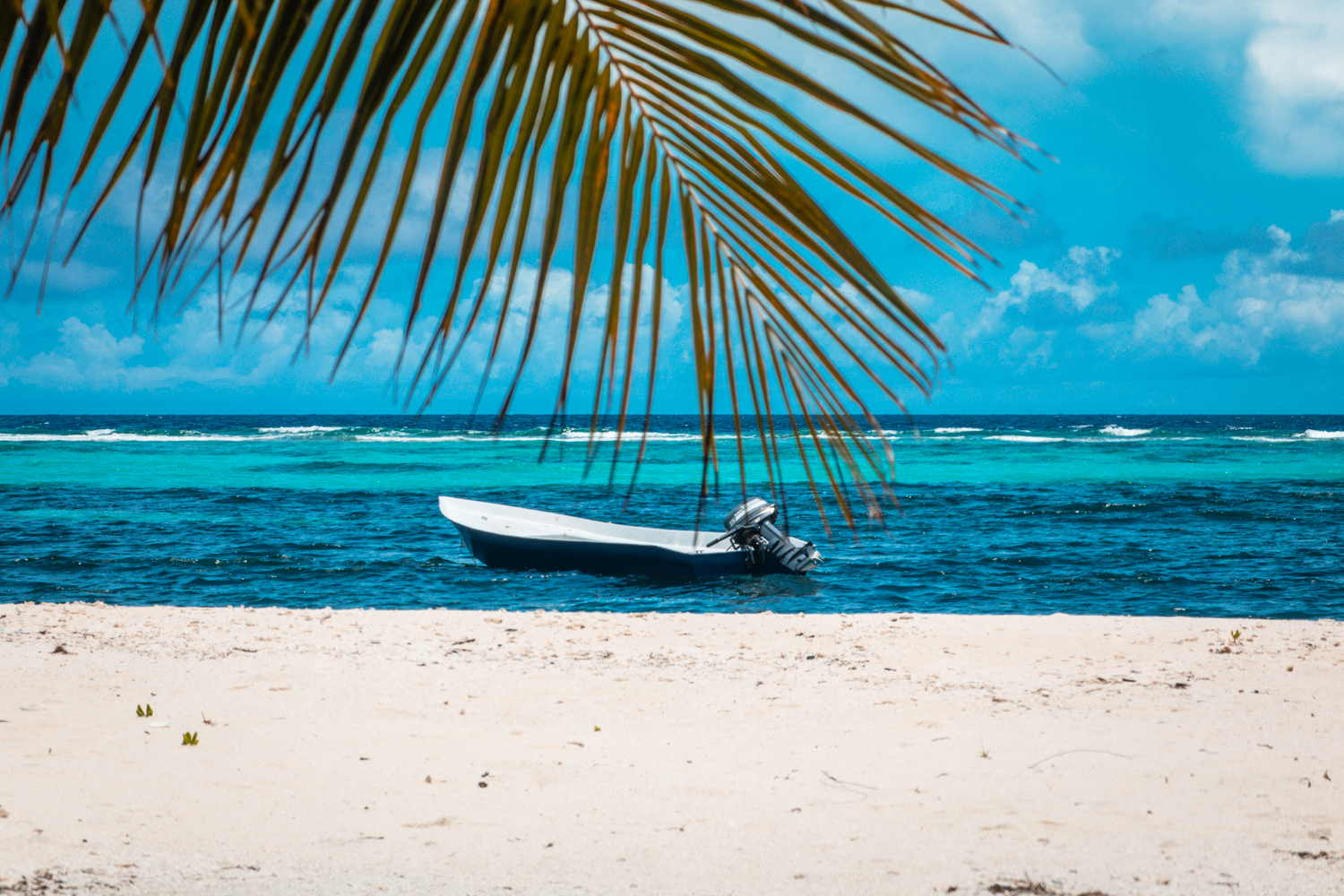 get-to-know-adh.-dhangethi-thumbnail