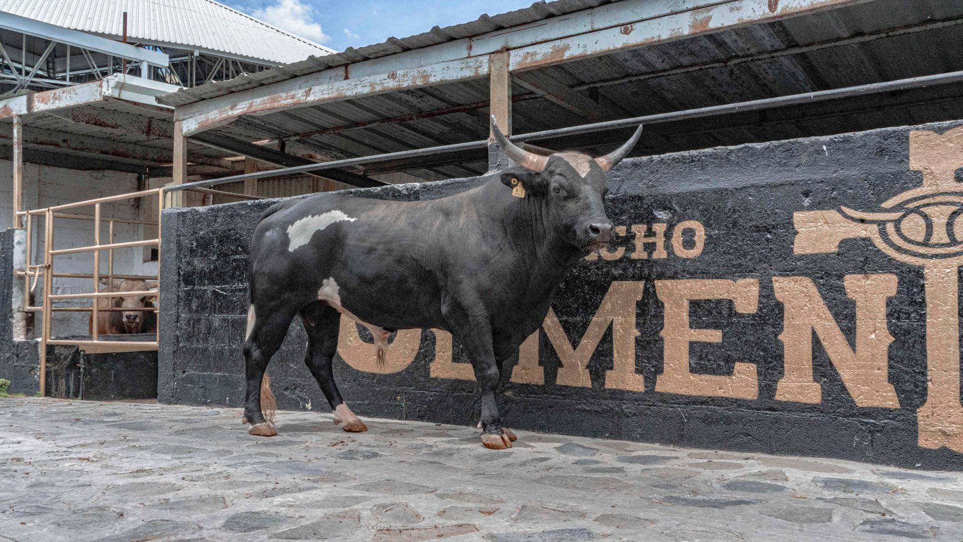 tio chencho galeria 2