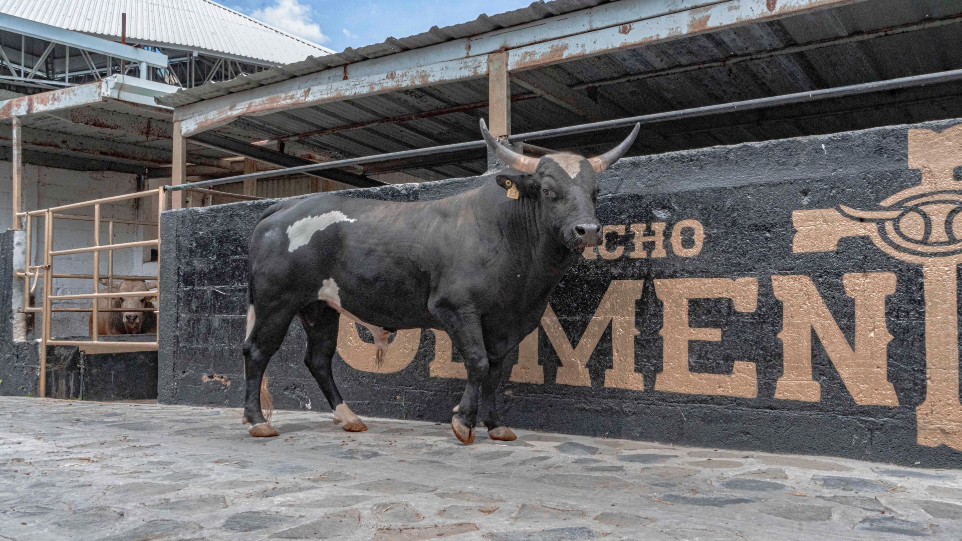 tio chencho galeria 3