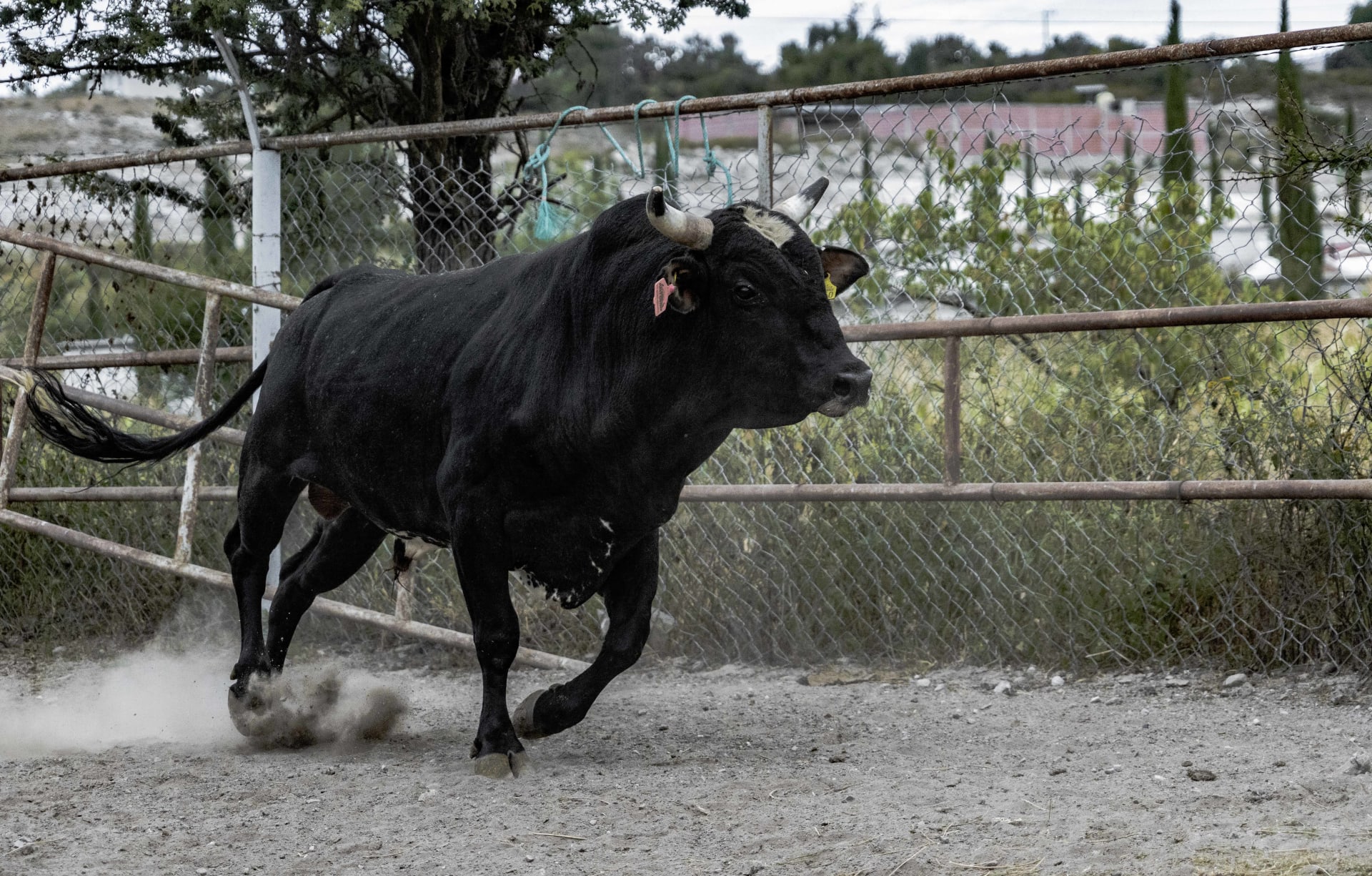 hombre de negro galeria 1