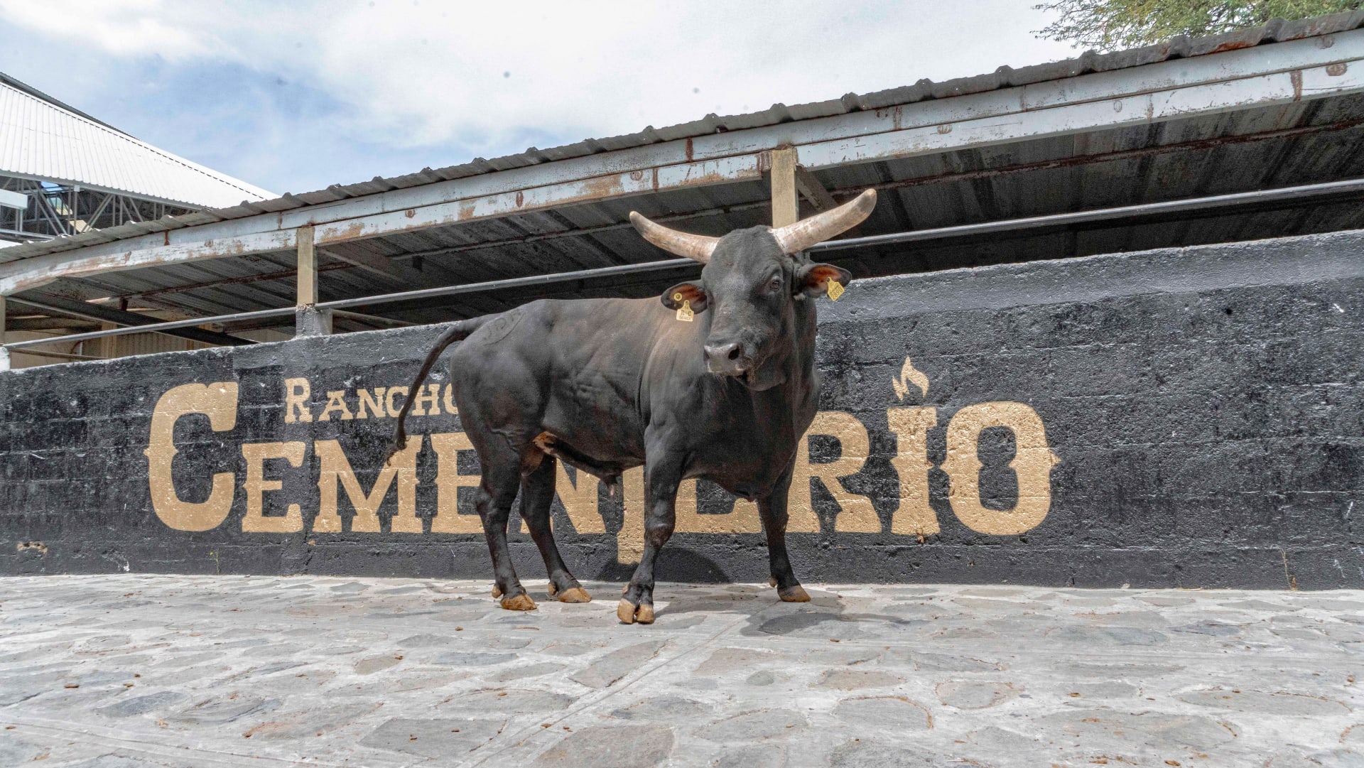 novenario galeria 2