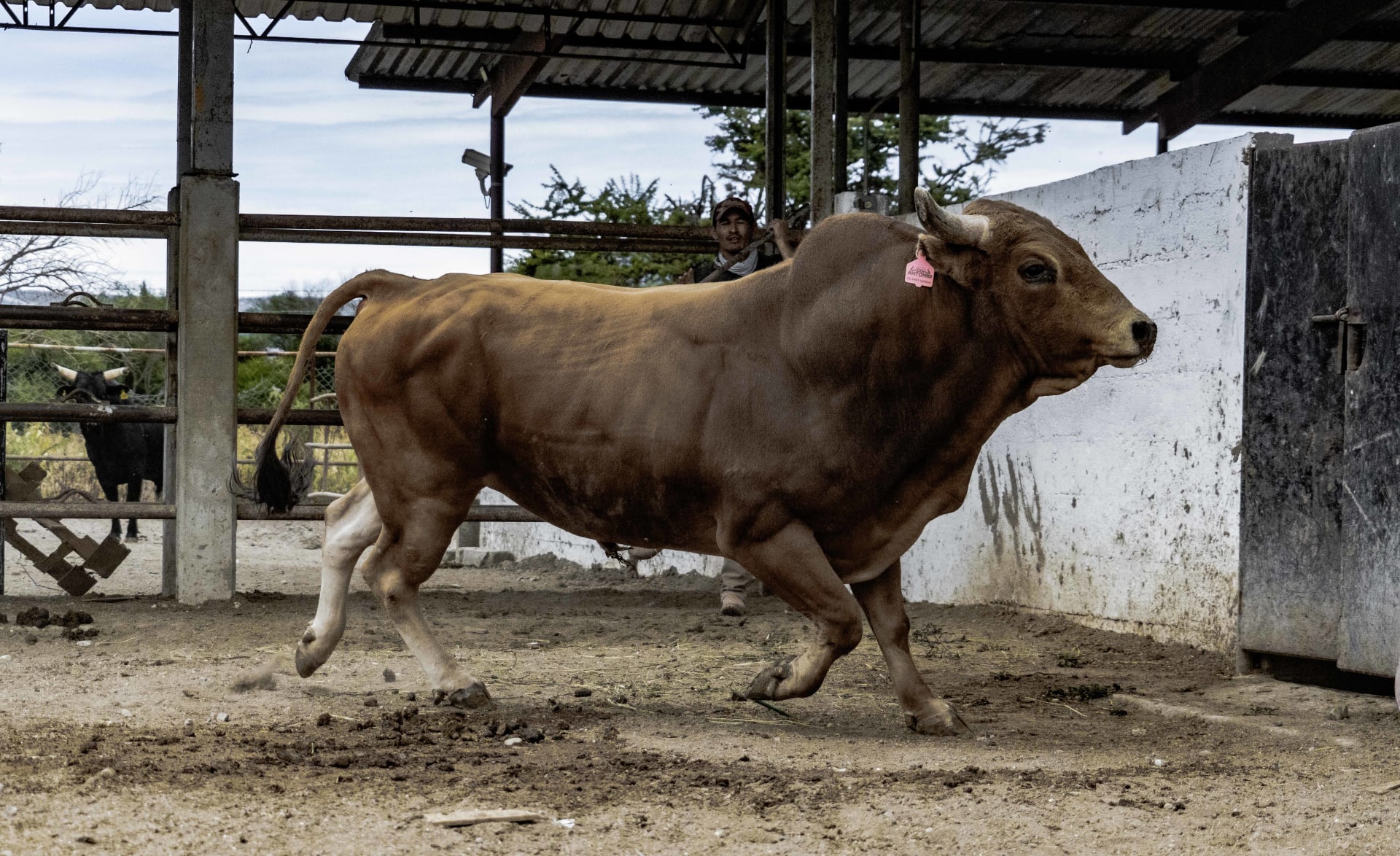 alto riesgo galeria 3