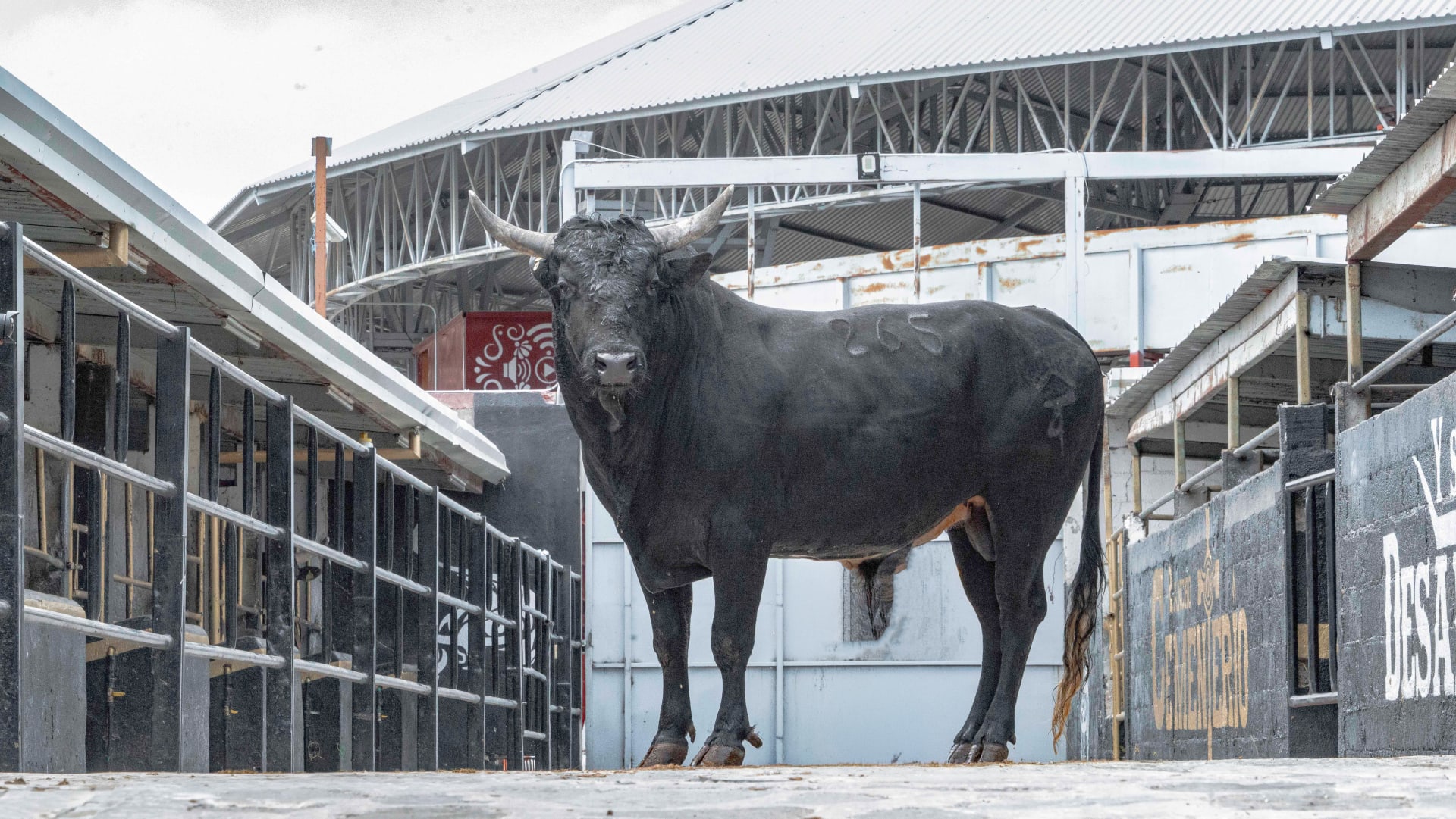 aventurero galeria 2