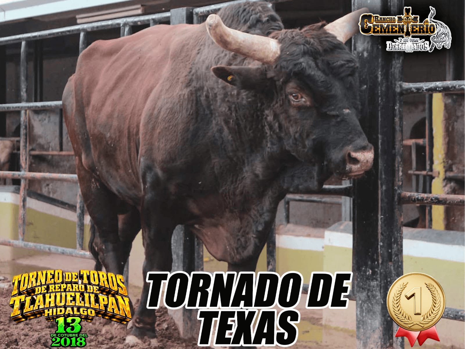 TornadoDeTexasCampeon