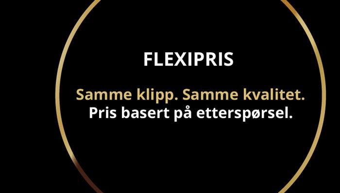Artikkelbilde - FLEXIPRIS