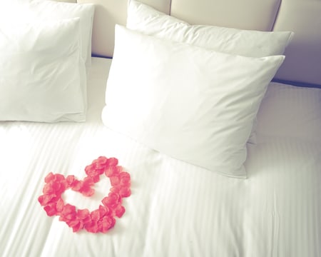 URH Palacio de Oriol****