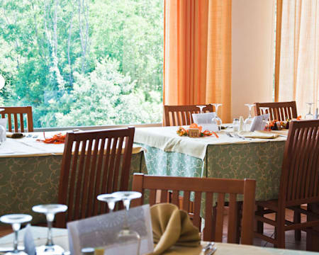 Hotel Pineta***