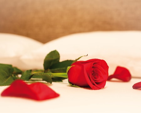 Gelindo dei Magredi*** | Estadia de 1 Noite