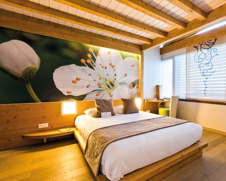 Hôtel La Croix de Savoie| Estadia de 1 Noite com jantar Hôtel La Croix de Savoie| Estadia de 1 Noite com jantar