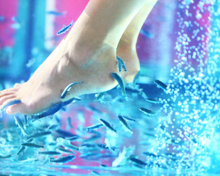 À Fleur de Peau - Fish Spa À Fleur de Peau - Fish Spa