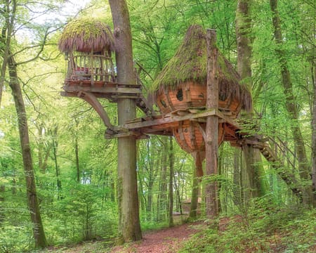L'Arbre à Cabane | Estadia de 1 Noite L'Arbre à Cabane | Estadia de 1 Noite