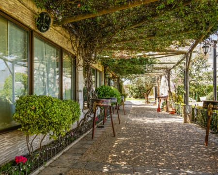 Restaurante Las Conchas | Petiscos Restaurante Las Conchas | Petiscos