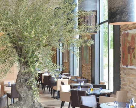 Uma Entrada | Il Ristorante - Marquette