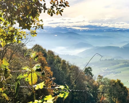 Vila Peregrina | Estadia de 1 Noite