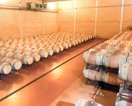 Bodega Pirineos | Petiscos Bodega Pirineos | Petiscos