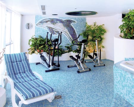 Hôtel Restaurant des Vosges**