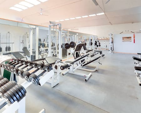 FitPRIME - Palestra Moncada FitPRIME - Palestra Moncada