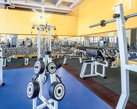 FitPRIME - Palestra First Evolution FitPRIME - Palestra First Evolution