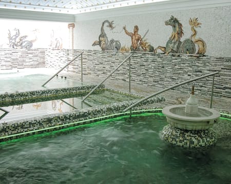 Las Termas de Híspalis Las Termas de Híspalis