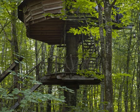 L'Arbre à Cabane L'Arbre à Cabane
