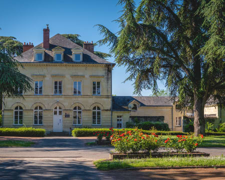 Domaine de Roiffé***