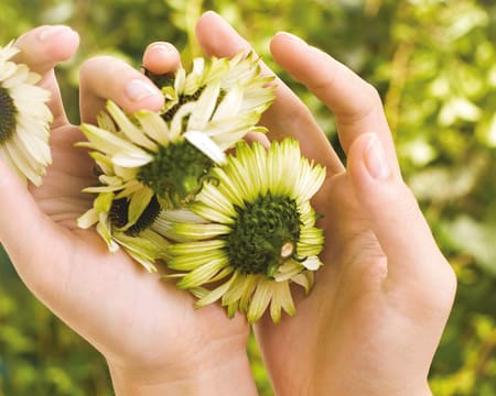 Yves Rocher Santander IV