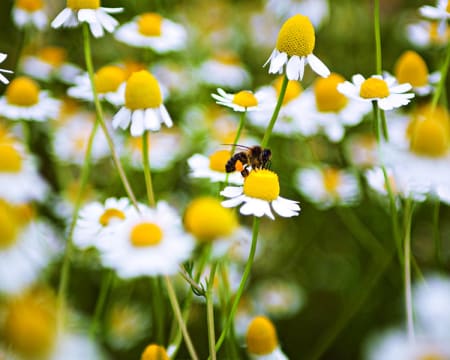 Yves Rocher Santander IV