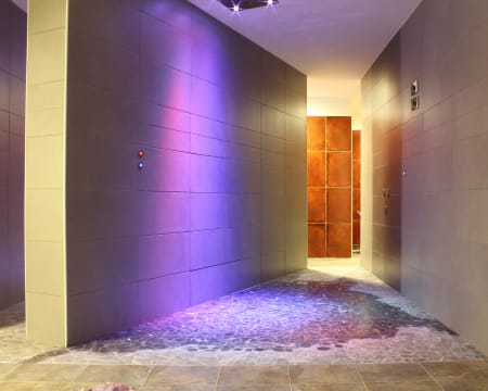 SWADESHI La Rondinaia in Eurocongressi Hotel