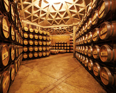 Bodegas Olarra | Petiscos Bodegas Olarra | Petiscos