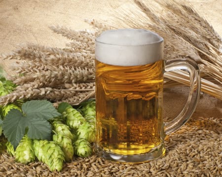 Cerveza La Loca Juana | Petiscos Cerveza La Loca Juana | Petiscos