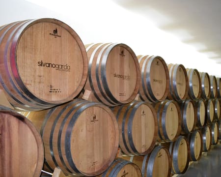 Bodegas Silvano García | Petiscos Bodegas Silvano García | Petiscos