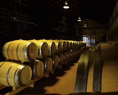 Bodegas de Fuente Reina | Petiscos Bodegas de Fuente Reina | Petiscos