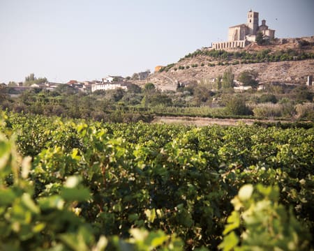 Bodegas Ruberte | Petiscos Bodegas Ruberte | Petiscos