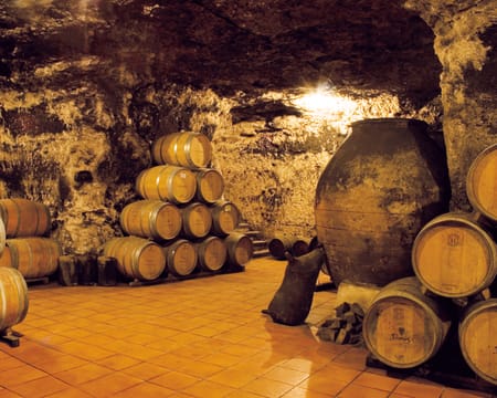 Dionisos. La Bodega de las Estrellas | Petiscos Dionisos. La Bodega de las Estrellas | Petiscos